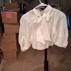 Zara White Bow Detail Crop Top